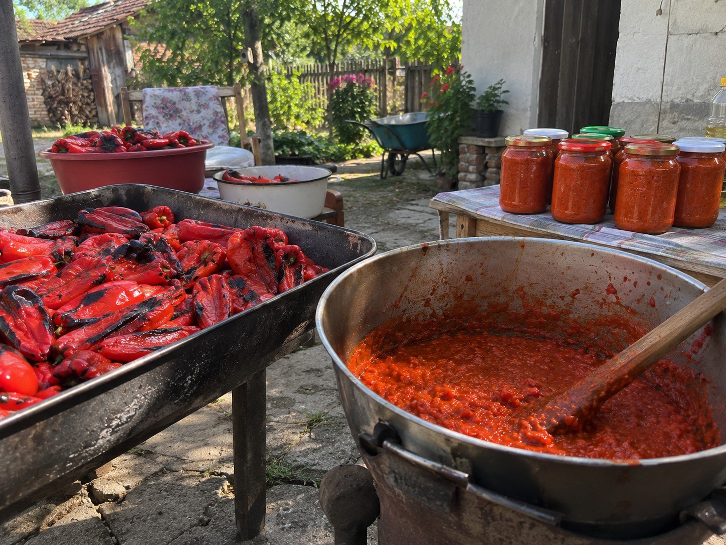 Koliko paprika treba za kilogram ajvara? Odgovor iznenadio mnoge